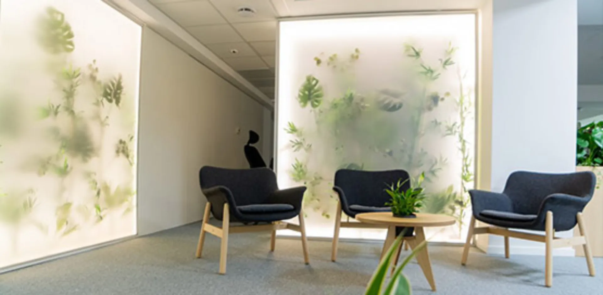 contact-timisoara-small1